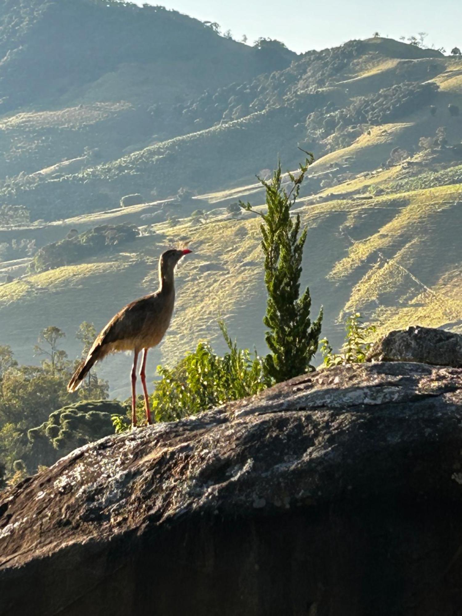 Pousada Terra Dos Passaros São Bento do Sapucaí Exteriör bild