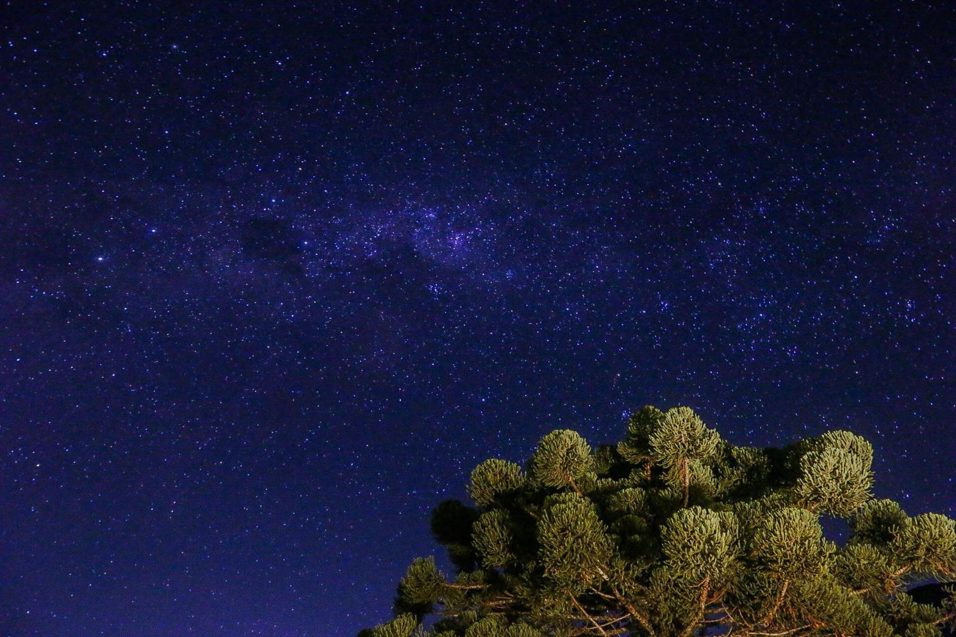 Pousada Terra Dos Passaros São Bento do Sapucaí Exteriör bild